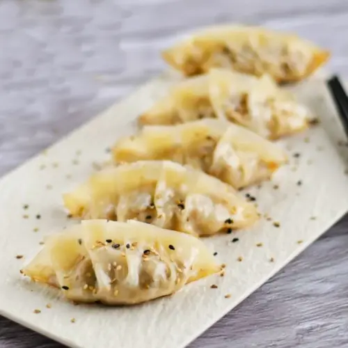 Albondigas veganas para la venta mayorista de restauración.