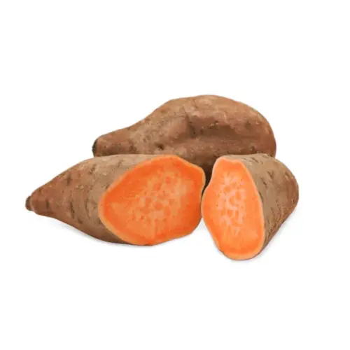 Batata naranja para venta al por mayor de carne.