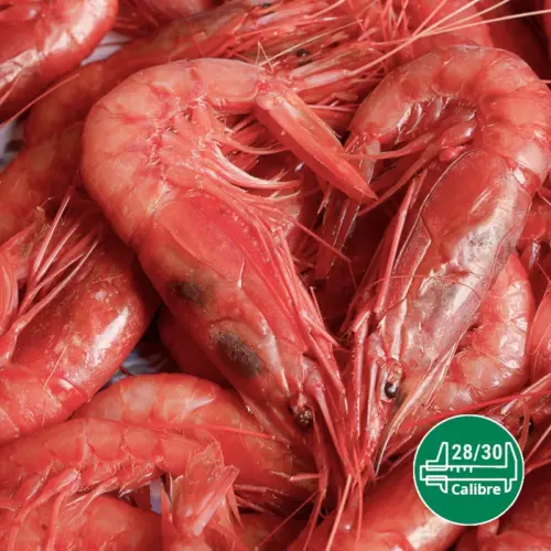 Camarón de calibre 28-30 por kilo para venta al por mayor de marisco.