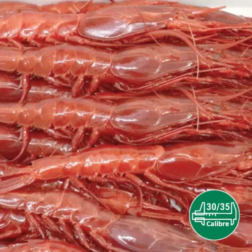 Carabineros calibre 30-35 kilo para venta al por mayor de marisco.