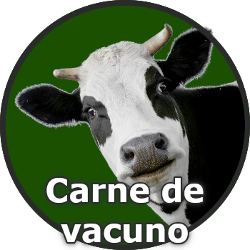 Carne de Vacuno en Youco Fruit para venta al por mayor.