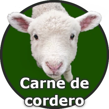 Carne de cordero en Youco Fruit y para venta al por mayor.