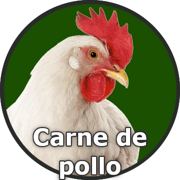 Carne de pollo en Youco Fruit para venta al por mayor.