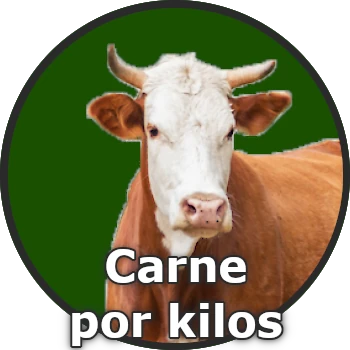 Carne por kilos en Youco Fruit y para venta al por mayor.