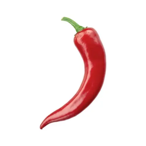 Chili rojo picante en venta al por mayor de verdura.