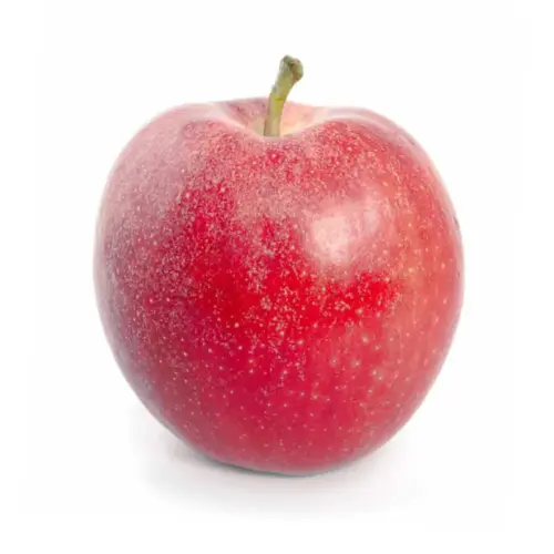 Manzana Pink Lady de origen Español y para venta al por mayor de fruta.