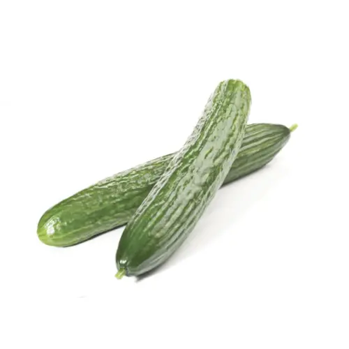 Pepino Holandes de venta al por mayor en verdura nacional e importación.