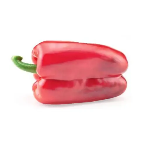 Pimiento lamuyo rojo para venta mayorista de verduras.