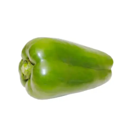 Pimiento lamuyo verde para venta al por mayor.