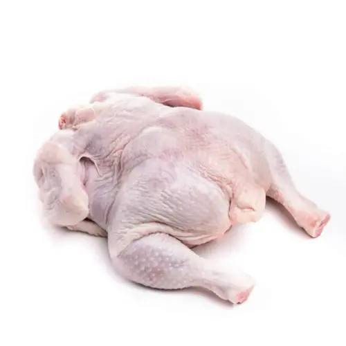 Pollo entero fresco disponible en diferentes tamaños y para la venta al por mayor de pollos.