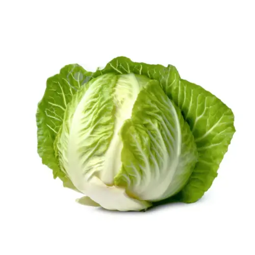 Repollo Chino para venta al por mayor de verdura.