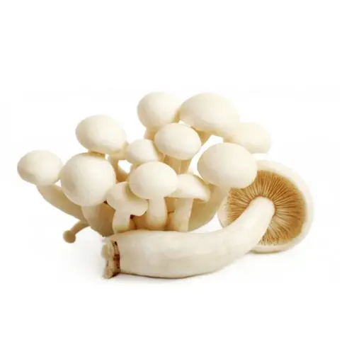 Shimeji Blanco para la venta mayorista de verdura.