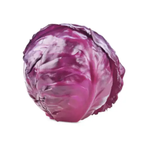 Col lombarda para venta de verdura al por mayor.