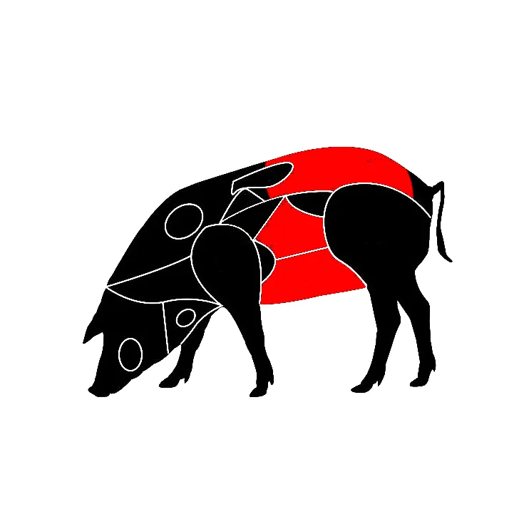 Chistorra de cerdo para venta al por mayor.