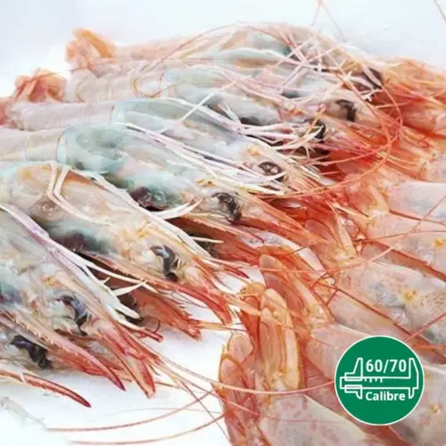 Gambas blancas de calibre 60-70 para la venta de mariscos al por mayor.