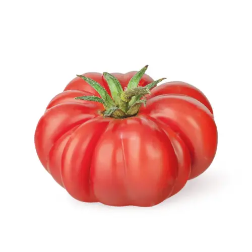 Tomate raf para venta de verduras al por mayor.