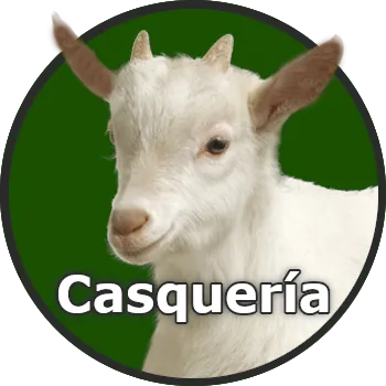 Mayorista de Casquería en Madrid y alrededores.