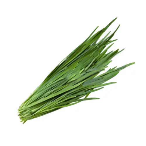 Chives fresco para venta al por mayor.