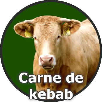 Youco Fruit es mayorista para restaurantes kebab.