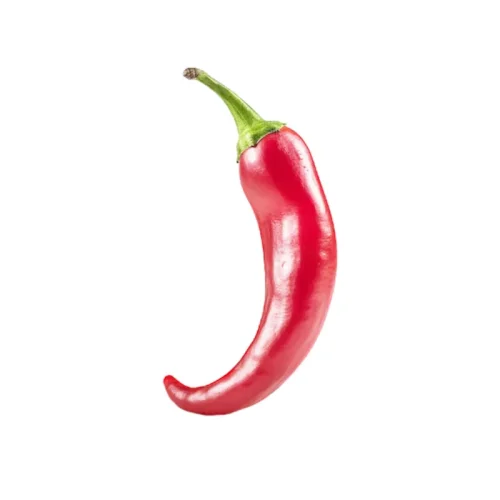 Guindilla roja picante para venta al por mayor.