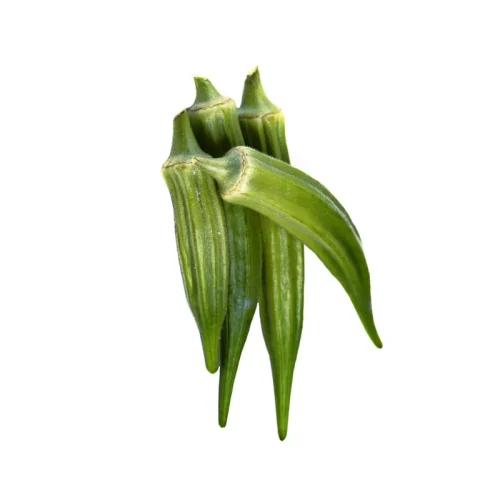 Okra verde para venta al por mayor.