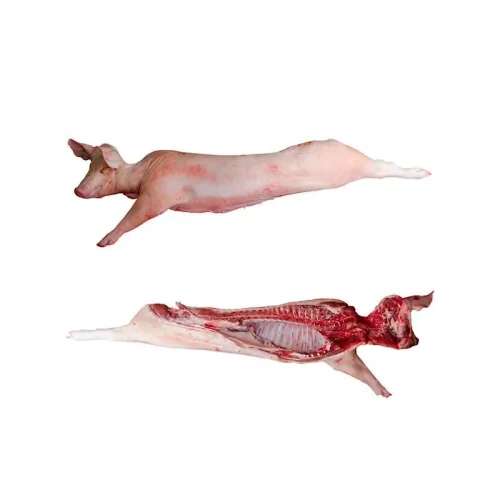 Canal de cerdo con cabeza.